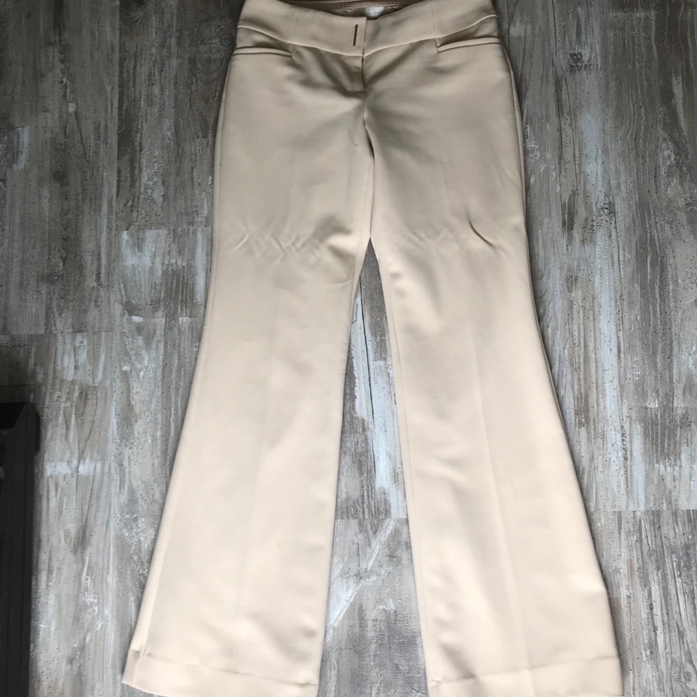 Dress Pant